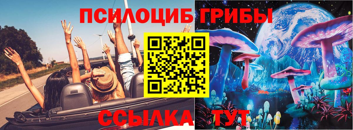 Маркс  Галлюциногенные грибы Psilocybe  Вход с VPN 