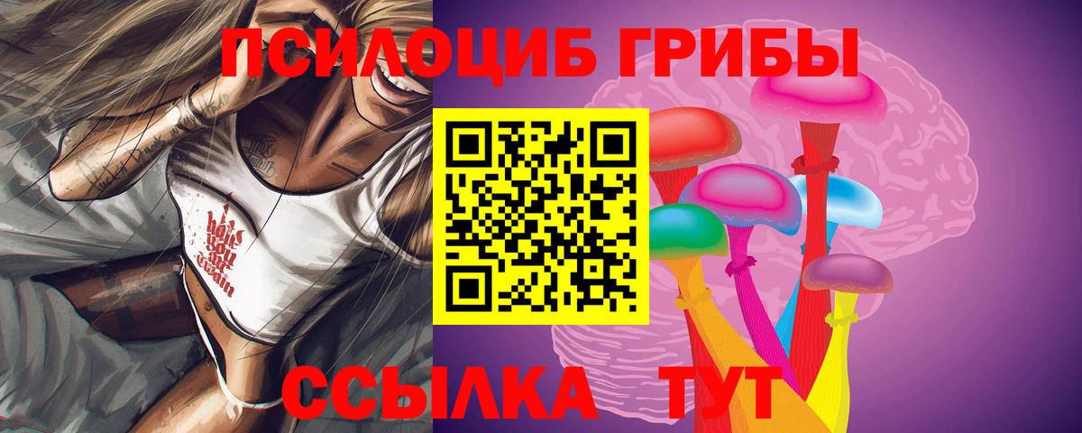 Галлюциногенные грибы Cubensis Маркс